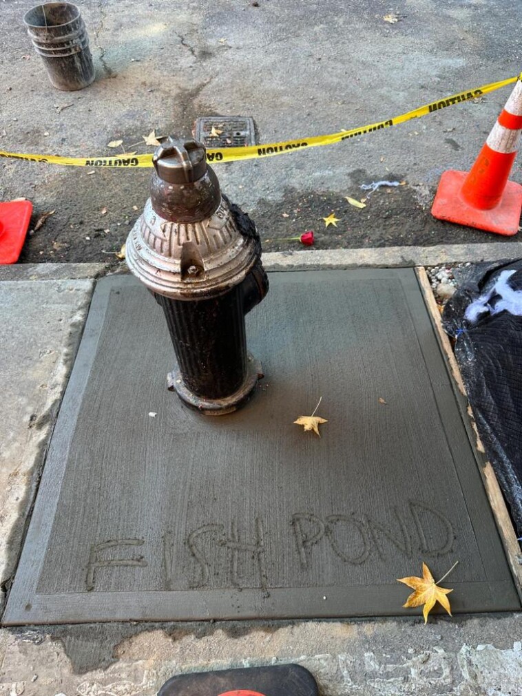 spot-of-beloved-brooklyn-sidewalk-fish-pond-covered-by-cement-days-after-it-was-destroyed