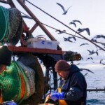 brexit-betrayal:-eu.-to-demand-fishing-rights-for-uk-waters