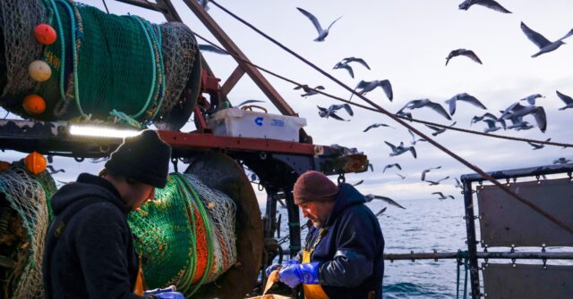 brexit-betrayal:-eu.-to-demand-fishing-rights-for-uk-waters