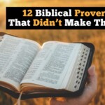 12-biblical-proverbs-that-didn’t-make-the-cut