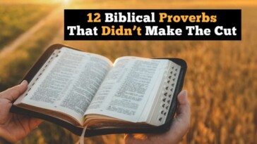 12-biblical-proverbs-that-didn’t-make-the-cut