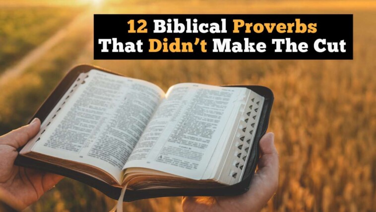 12-biblical-proverbs-that-didn’t-make-the-cut