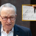 democrats-warn-it-may-take-at-least-4-years-to-count-ballots