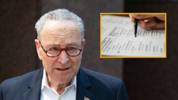 democrats-warn-it-may-take-at-least-4-years-to-count-ballots