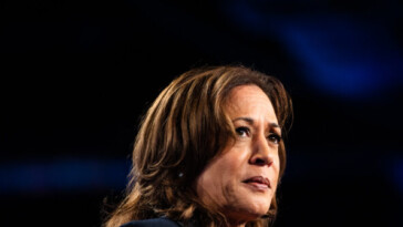 cnn’s-phillip:-harris’-‘gouging’-plan-‘does-not-address-the-actual-price-of-groceries’