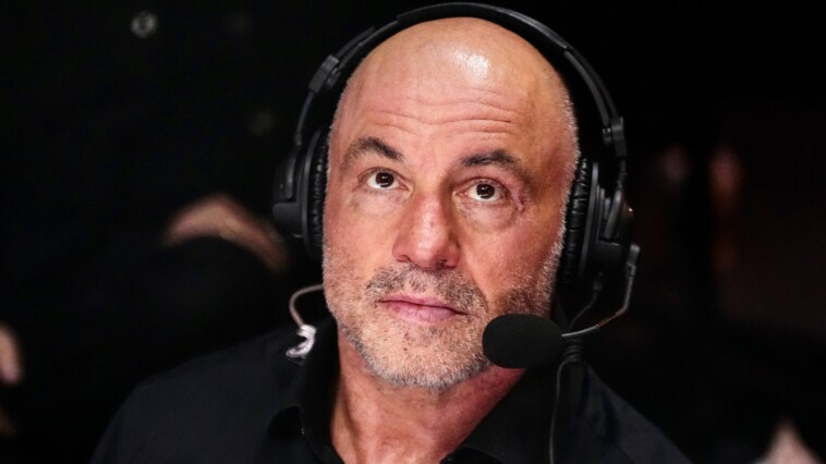 joe-rogan:-kamala-was-‘supposed-to’-do-my-show,-has-not-showed-up