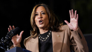 this-kamala-harris-is-a-single-mom-who-still-doesn’t-know-who-to-vote-for-in-2024-election