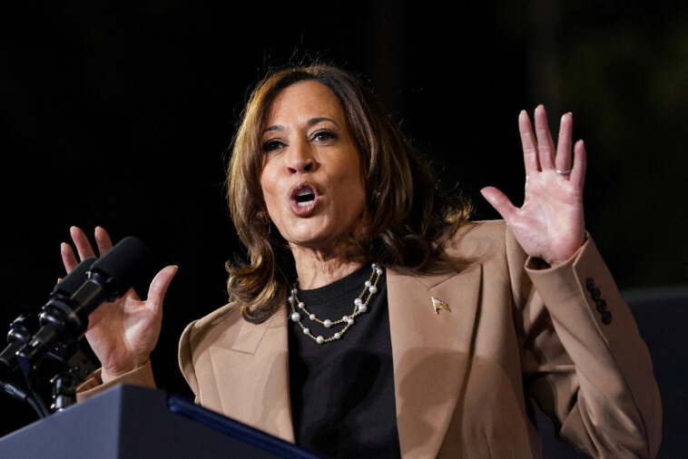 this-kamala-harris-is-a-single-mom-who-still-doesn’t-know-who-to-vote-for-in-2024-election