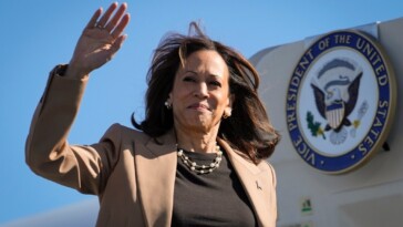 kamala-harris-touts-2021-immigration-bill-as-border-fix-—-but-it-would-allow-millions-deported-under-trump-to-return