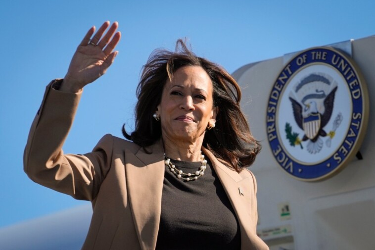 kamala-harris-touts-2021-immigration-bill-as-border-fix-—-but-it-would-allow-millions-deported-under-trump-to-return