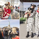 festive-dog-lovers-and-their-furry-friends-take-sail-around-the-big-apple-for-halloween-canine-cruise