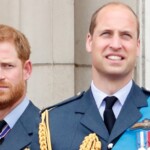 prince-william-publicly-mentions-prince-harry-for-first-time-in-recent-memory-while-discussing-childhood