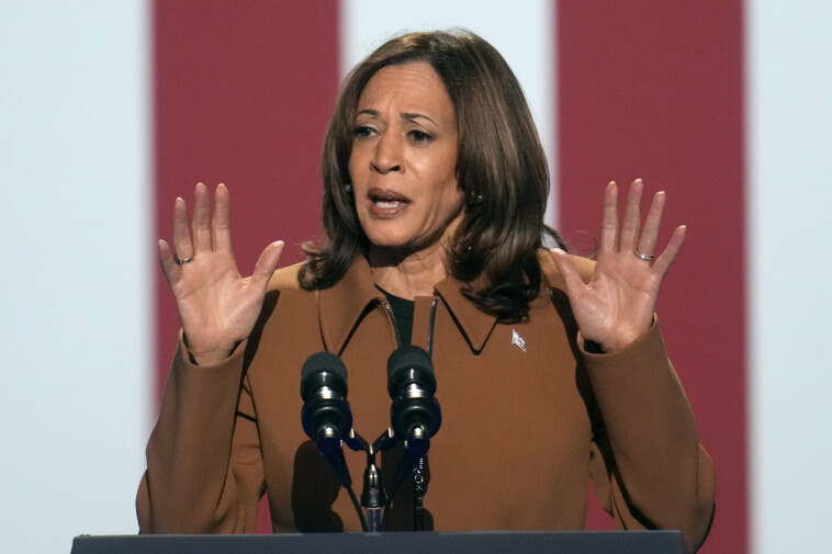 kamala-harris-appears-rattled-after-anti-israel-heckler-interrupts-her-—-drawing-boos-at-kalamazoo-rally