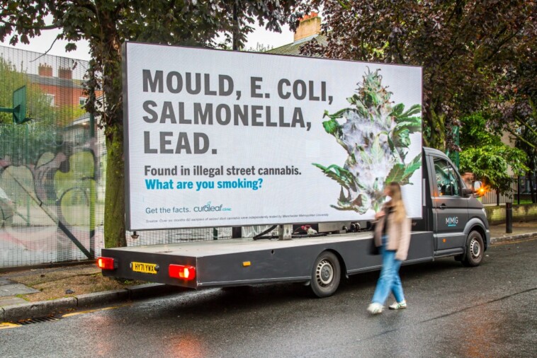 ‘dangerous’-amounts-of-mold,-lead,-e.coli,-and-salmonella-found-in-street-marijuana