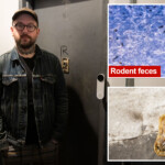 inside-nyc’s-priciest-‘slum’-—-an-apartment-building-boasting-nearly-$4k-rents-filled-with-‘mold,-rats’