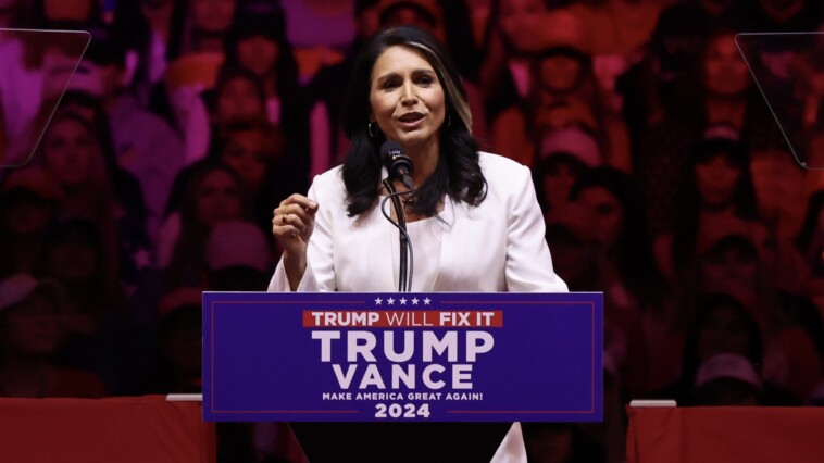 tulsi-gabbard:-a-vote-for-kamala-is-a-vote-‘for-war’