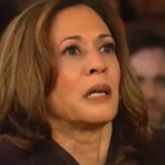 wayne-root:-why-is-kamala’s-campaign-in-freefall?-kamala-isn’t-just-dei,-she-owns-a-category-all-to-herself-she’s-dli:-“dumb,-lazy-and-incompetent.”