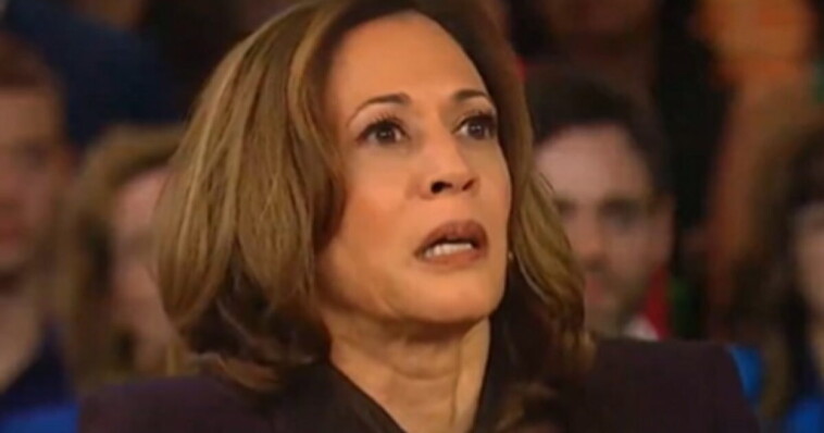 wayne-root:-why-is-kamala’s-campaign-in-freefall?-kamala-isn’t-just-dei,-she-owns-a-category-all-to-herself-she’s-dli:-“dumb,-lazy-and-incompetent.”