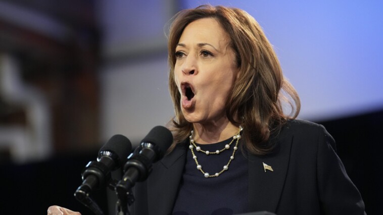 kamala-claims-inflation-crisis-she-sparked-is-not-a-‘partisan-issue’