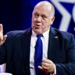 watch:-ex-trump-ice-director’s-viral-take-on-deporting-without-family-separation