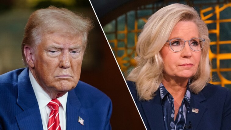 liz-cheney-bashes-trump-in-new-key-battleground-harris-ad-as-election-hits-final-sprint