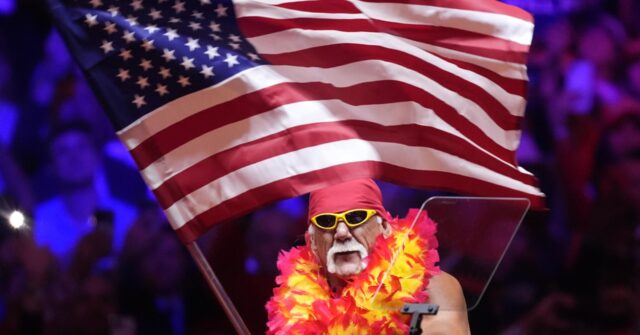 hulk-hogan-to-madison-square-garden:-‘i-don’t-see-no-stinkin’-nazis’