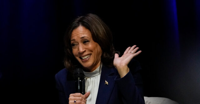 word-salads:-kamala-harris-rambles-about-‘being-able-to-see-what-is’