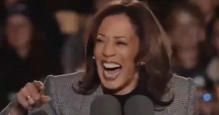 awkward:-kamala-harris-tells-audience-to-chant-their-own-names,-crowd-goes-completely-silent-(video)