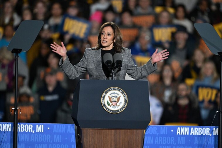 kamala-harris-silences-raucous-michigan-rally-goers-with-bizarre-request:-‘shout-your-own-name’