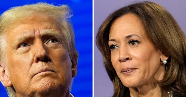 report:-democrats-despair-as-harris’s-economic-message-ignored-by-voters-looking-to-trump