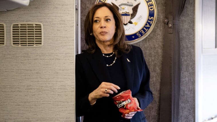 kamala-‘disappointed’-numerous-major-newspapers-did-not-endorse-her