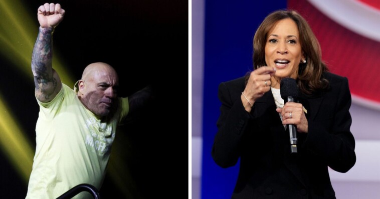 joe-rogan-reveals-kamala-harris-campaign-has-made-unusual-demands-regarding-potential-interview