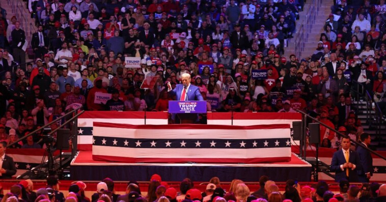 anti-trump-journalist-gives-outraged-democrats-a-reality-check-about-madison-square-garden-rally