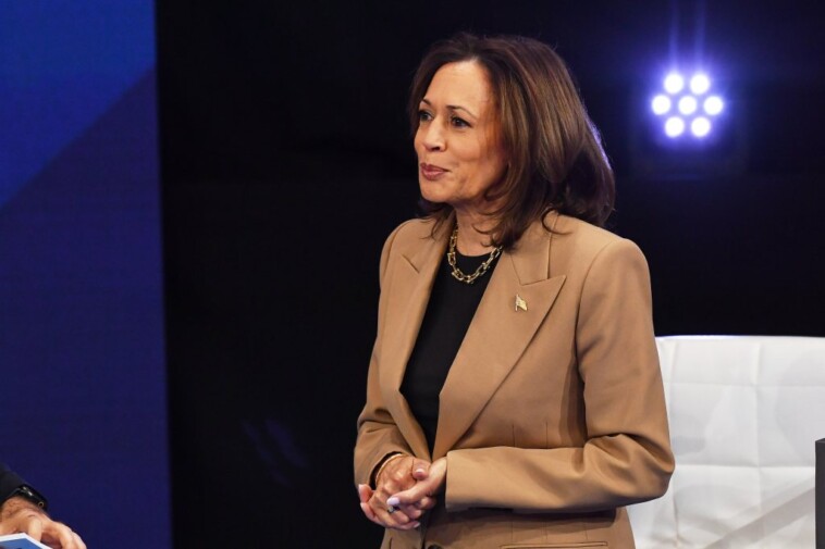 kamala-harris-blames-trump,-rips-billionaires’-‘club’-for-washington-post’s-non-endorsement