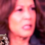 trump:-kamala-harris-is-running-a-campaign-of-‘absolute-hate’