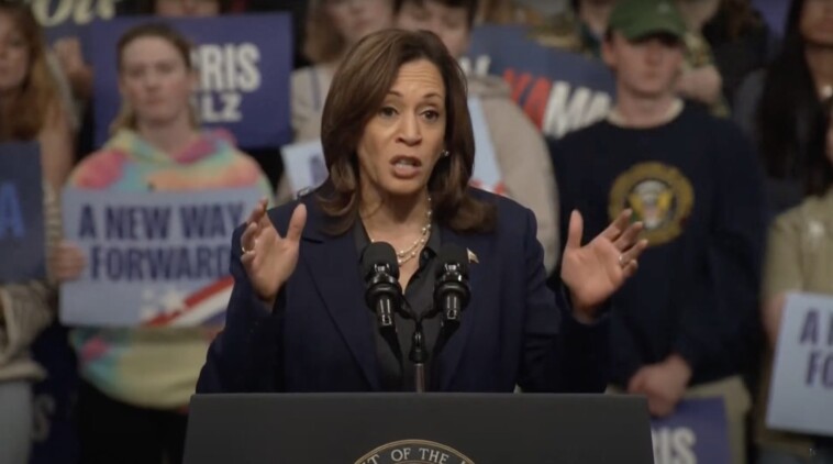 harris-campaign-ends-millions-of-dollars-of-ad-spending-in-north-carolina-after-republicans-flock-to-vote-early