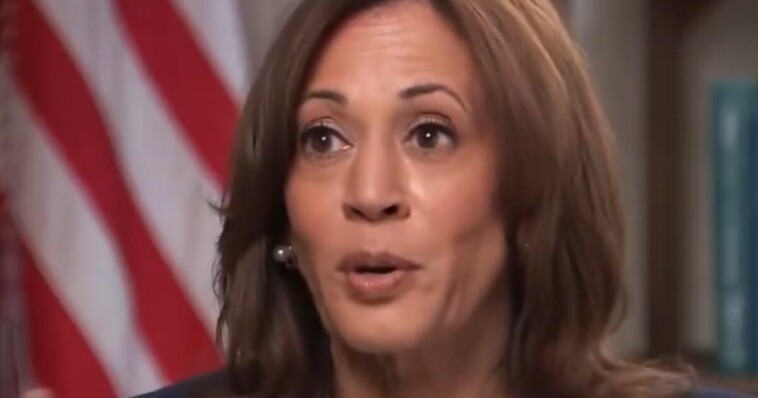 wisconsin-reporter-puts-kamala-harris-in-the-hot-seat,-spars-with-her-over-high-grocery-prices,-asks-why-she-hasn’t-already-done-what-she’s-proposing-(video)