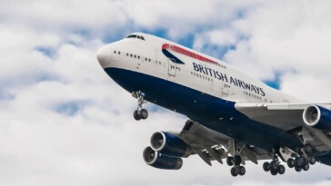 american-flyers-brawling-over-maga-hat-yanked-off-british-airways-flight:-report