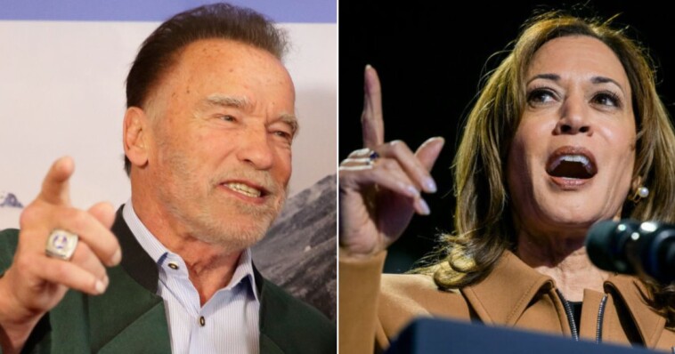 arnold-schwarzenegger-breaks-silence,-makes-opinion-about-kamala-harris-very-clear-as-election-gets-closer