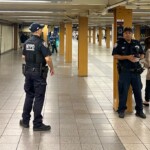 rock-wielding-stranger-bashes-nyc-subway-rider’s-head-in-random-attack:-sources