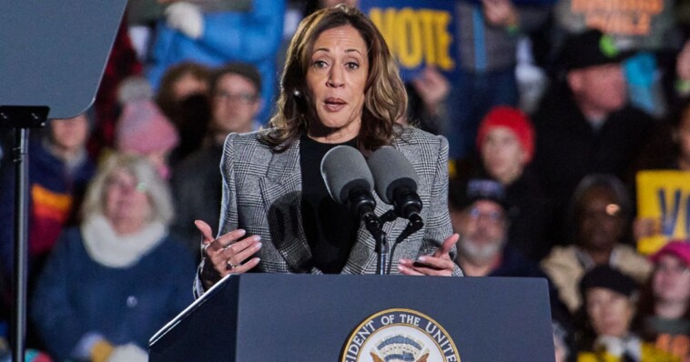 awkward:-kamala-kills-rally-excitement-after-asking-audience-for-one-simple-request