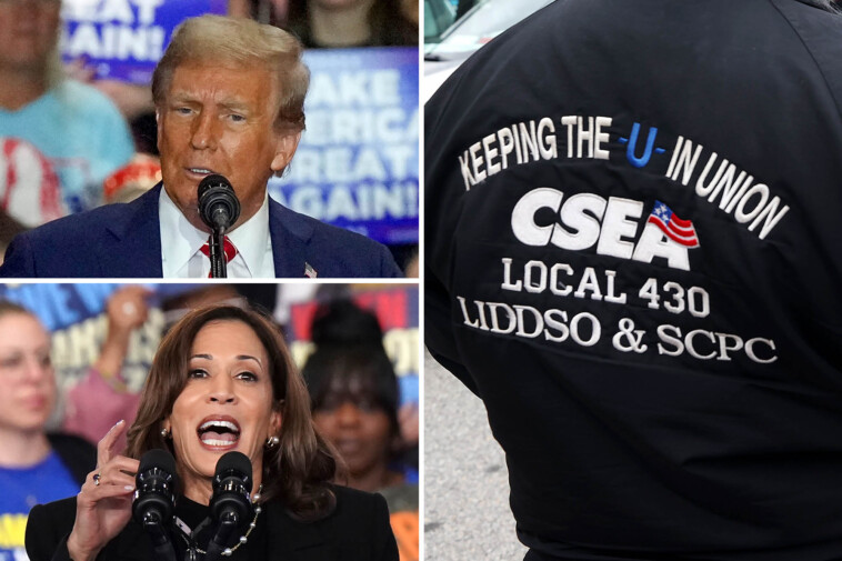 new-york’s-largest-public-sector-union-isn’t-endorsing-a-presidential-candidate-—-in-blow-to-kamala-harris