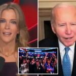 megyn-kelly-says-biden’s-stunning-‘garbage’-comment-about-trump-supporters-was-sign-of-dementia