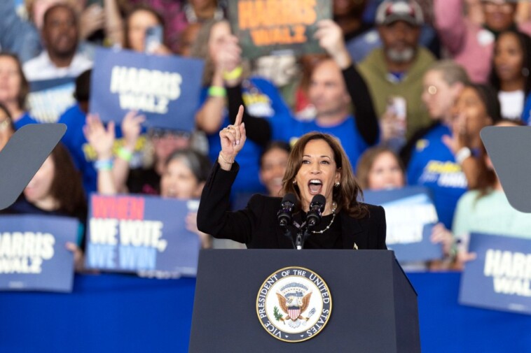 kamala-harris-misstates-trump-policies-on-abortion,-ivf,-pregnancy-monitoring-and-birth-control-at-swing-state-rallies