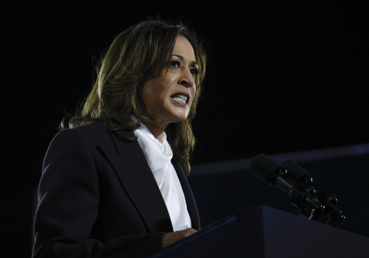 kamala-on-why-she-hasn’t-fixed-problems-facing-americans:-‘i’m-not-president’