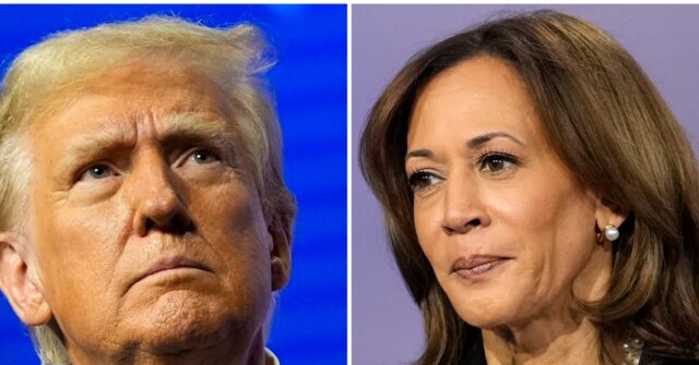 poll:-donald-trump-ekes-out-lead-over-kamala-harris-in-battleground-michigan