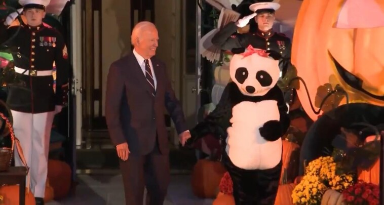 jill-biden-shows-up-to-white-house-halloween-celebration-dressed-as-a-giant-panda-(video)