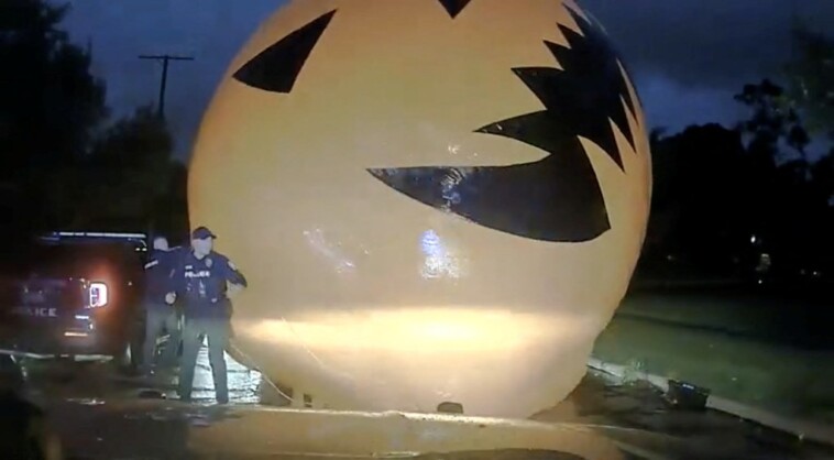 ohio-officer-‘attacked’-by-giant-runaway-pumpkin-—-months-after-turkeys-chased-him-down-during-traffic-stop-in-viral-video