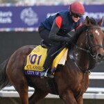 betting-the-breeders’-cup:-is-it-time-for-city-of-troy?