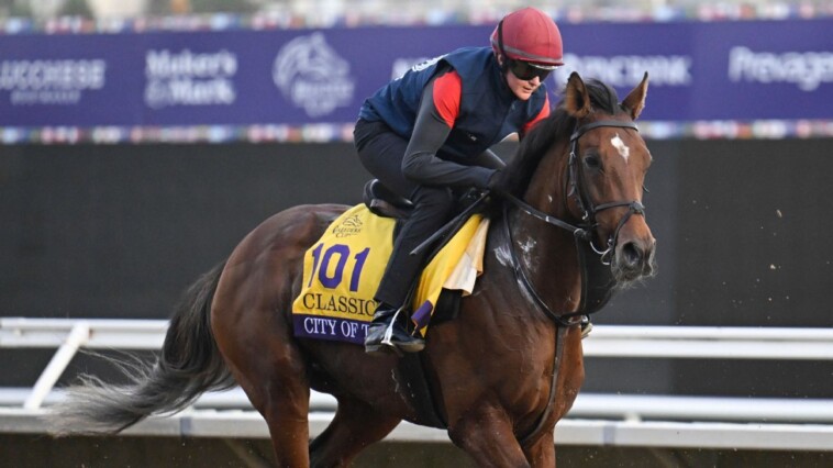 betting-the-breeders’-cup:-is-it-time-for-city-of-troy?